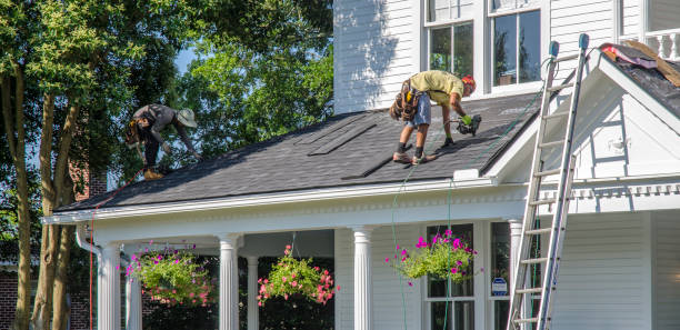 Best Roof Gutter Cleaning  in Hampstead, MD